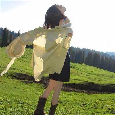 凤皇传